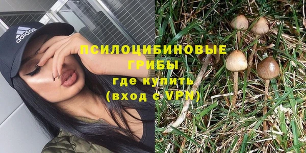 амф Долгопрудный