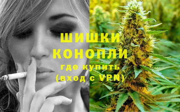 стаф Михайловск