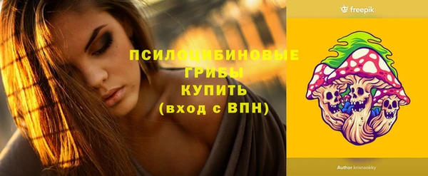 дурь Мегион