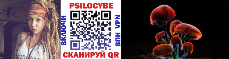 МЕГА ссылки  продажа наркотиков  Порхов  Галлюциногенные грибы MAGIC MUSHROOMS 
